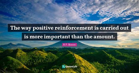 The Way Positive Reinforcement Is Carried Out Is More Important Than T