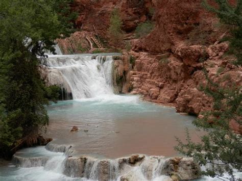 Havasu Falls Campground Updated 2017 Reviews And Price Comparison