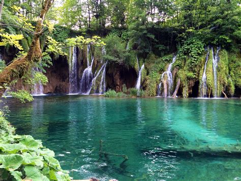 Free Images Tree Forest Waterfall Pond Jungle Body Of Water Croatia Rainforest Water