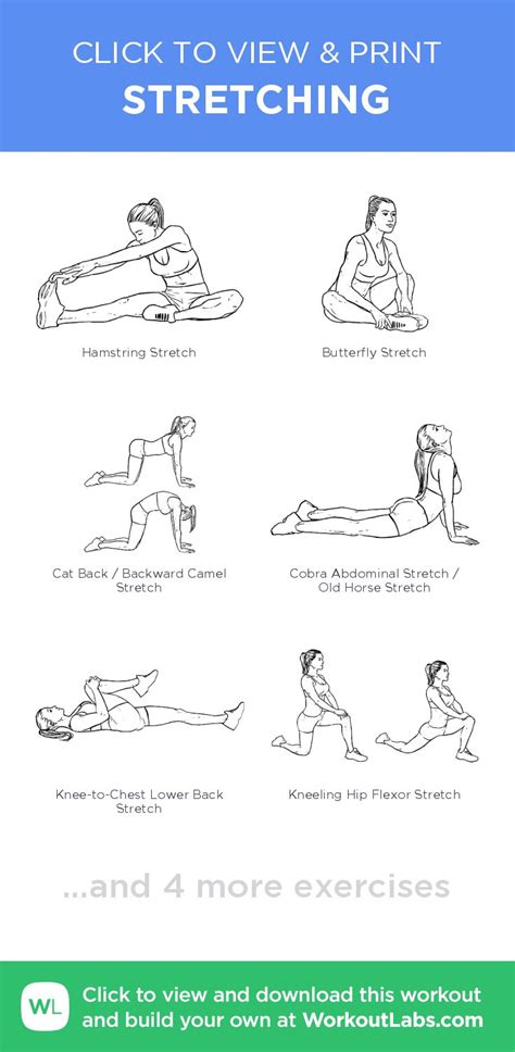 Stretching Click To View And Print This Illustrated Exercise Plan