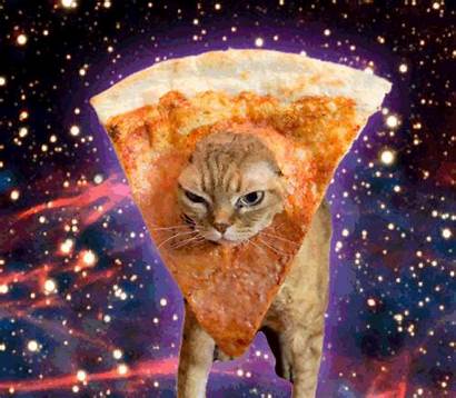 Cat Pizza Gifs Cats Space Galaxy Funny