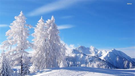 Top Winter Wonderland Hd Wallpapers 1080p Images For