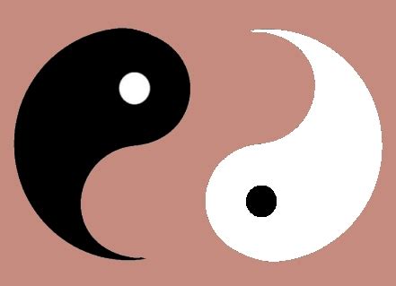 The Yin Yang Body View - Happeh Theory