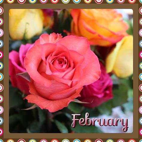 Ruthie26 — Hello February Roses Newmonth Themonthoflove