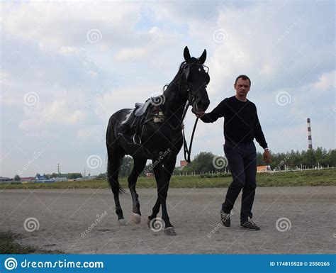 Jockey Leads A Sports Horse Rider Man Editorial Image Image Of Rider