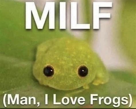 I Love Frogs R Memes