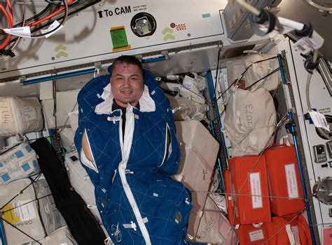 Astronaut Sleeping In Space