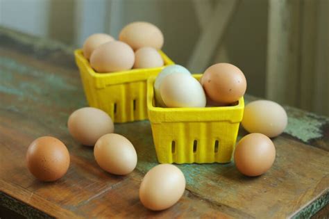 And yet, these are boxes of eggs! 50+ Ways to Use Extra Eggs • The Prairie Homestead