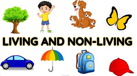 living things and nonliving things | Living and non living things for ...