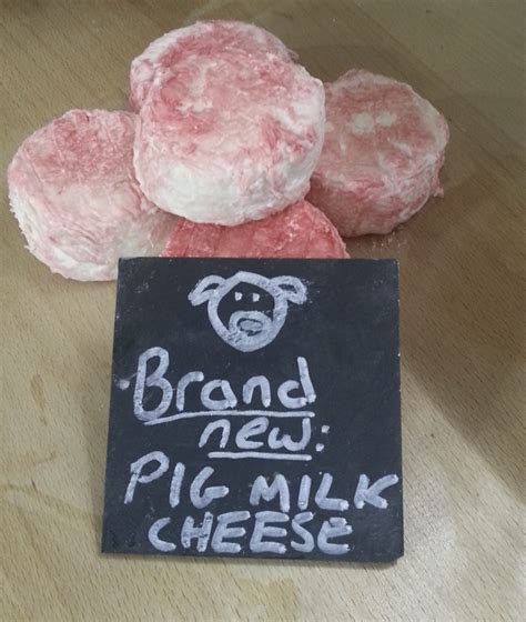 Pigs Milk Cheese Developed By Local Firms