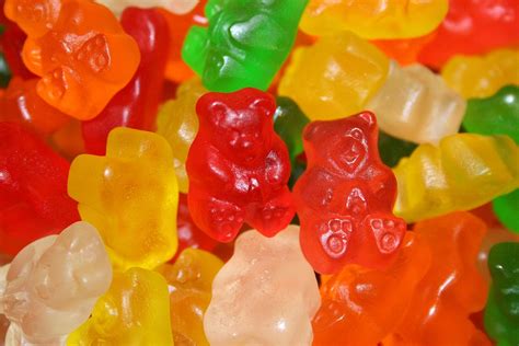 Sugar Free Gummy Bears 5lbs By Albanese Confectionery Gummy Candy Grocery