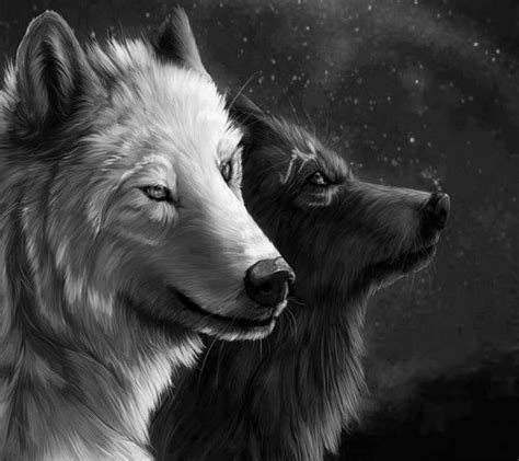 Wolves In Love Wolf Love Fantasy Wolf Black Wolf