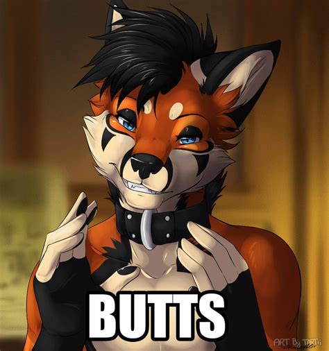 Furry🍑irl Rfurryirl