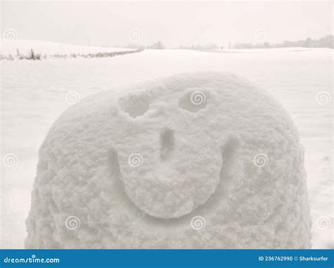 Snow Smiley Face In Snowy Winter Landscape Stock Photo Image Of