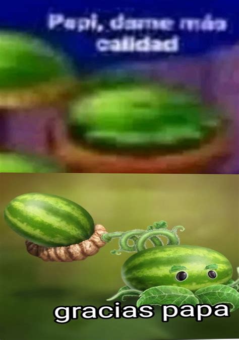 Las Melonpultas Merecen Respeto Meme By Elpendejazo Memedroid