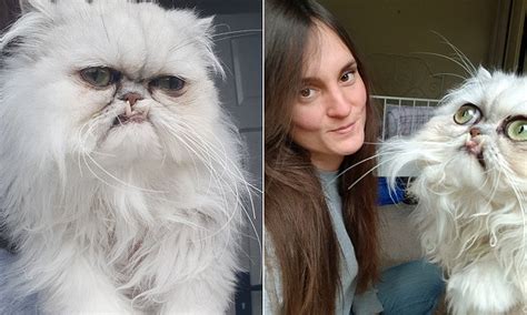 Owner Is Forced To Deny She Photoshops Her Pets Bulbous