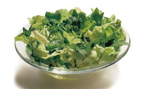 Gr Ner Salat Mit Rucola Und Kr Uterdressing Rezept Gusto At
