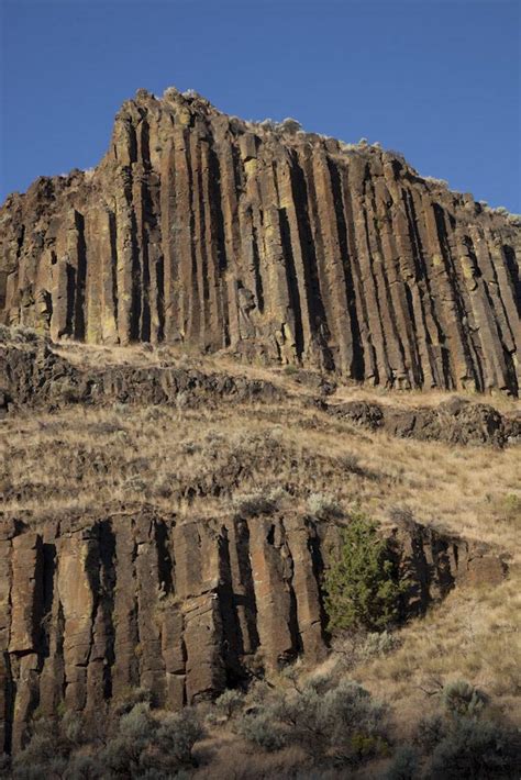 Colonnade In Basalt Oregon Vertical Geology Pics