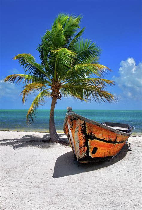 Small Boat And Palm Tree On White Sandy Beach In The Florida Keys My