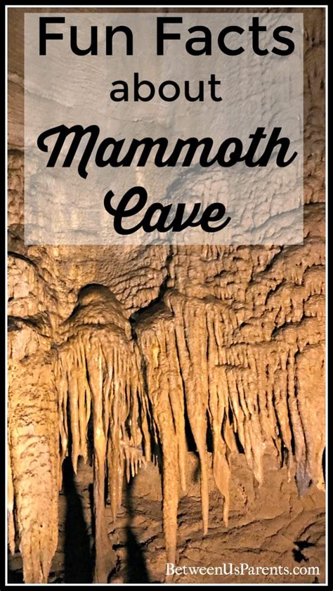 Fun Facts About Mammoth Cave Between Us Parents