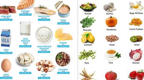 Protein sources important to build lean muscle and especially while that's why they are best protein food for weight loss people, vegan dieters. Foods and Functionality of High Protein Diet for weight ...
