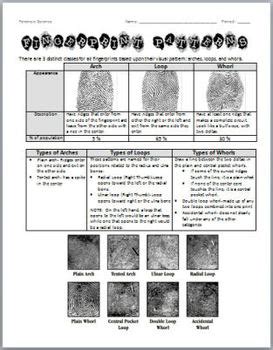 Homeschool forensic science unit study. Forensic Science: Fingerprint Patterns Lab Activity | TpT