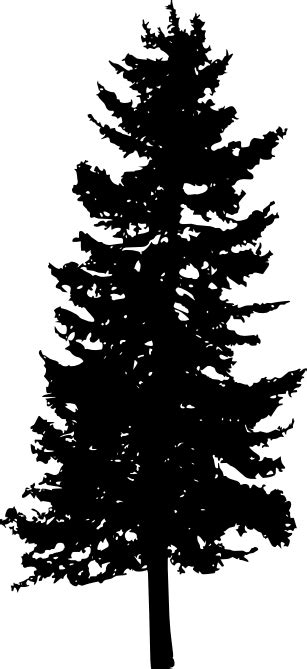 How many stock photos of pine trees are there? 30 Pine Tree Silhouette (PNG Transparent) Vol. 2 | OnlyGFX.com