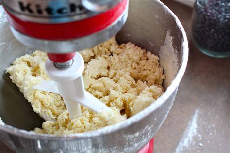 In a large bowl, with a pastry cutter, gradually work the crisco into the flour for about 3 or 4 minutes until it resembles a coarse meal. Rich Pie Crust Recipe for Pi Day: A Tutorial