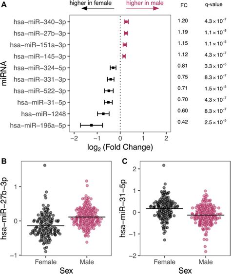 frontiers sex specific differences in microrna expression during human fetal lung development