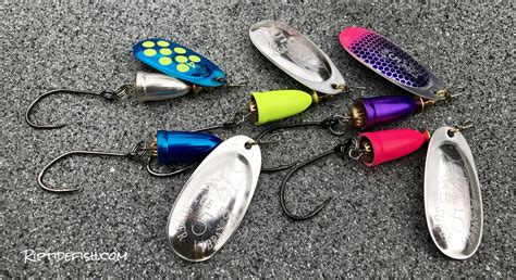 What Is The Best Fishing Bait For Salmon