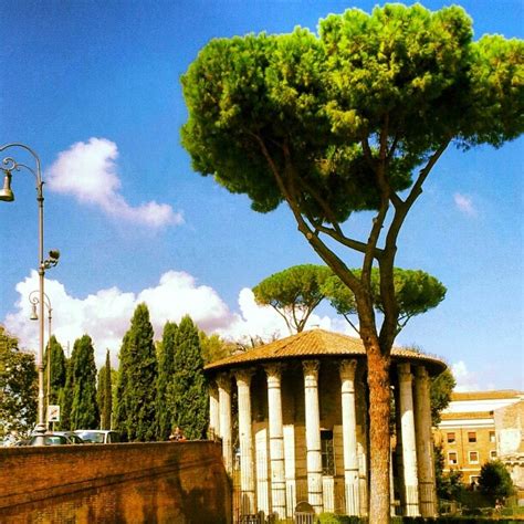 105 Best The Pines Of Rome Images On Pinterest Pine Tree Rome Italy