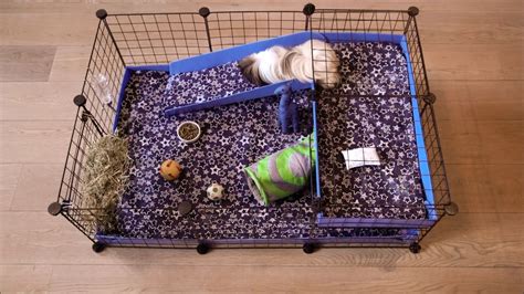 Diy And Candc Cages For Guinea Pigs Build Your Own Squeak 60 Off