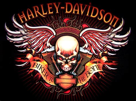 Harley Davidson Skull Wallpapers Top Free Harley Davidson Skull