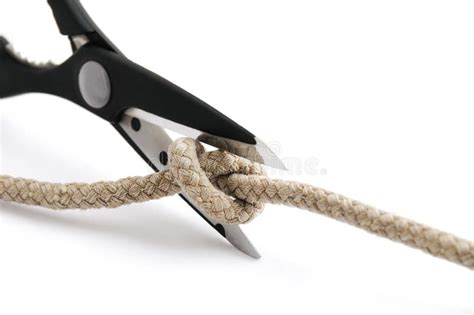 Cut Gordian Knot Stock Photo Image Of Action Rope Solve 13830530