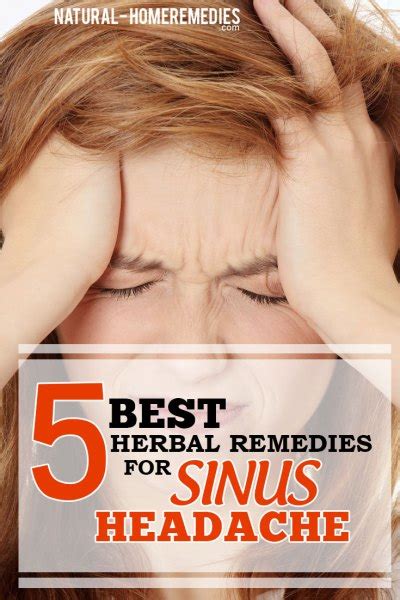 5 Best Herbal Remedies For Sinus Headache Natural Home Remedies