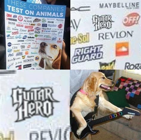 Guitar Hero | These Companies Test On Animals | Know Your Meme