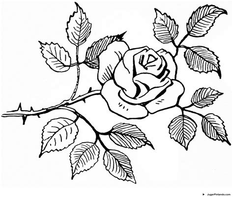 arriba 99 foto imagenes de una rosa para dibujar lleno