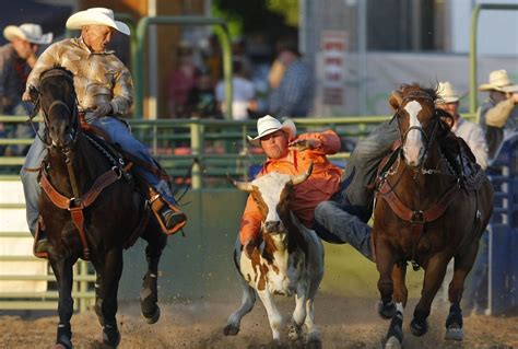 Ogden Pioneer Days Rodeo Ranked In Top Five Nationwide News Sports