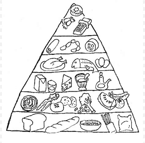 Piramida makanan adalah piramida berisi urutan makan dan dimakan. Food Pyramid Coloring Book Food Group Nutrition, PNG ...