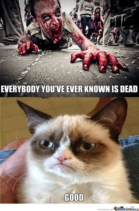 We did not find results for: Funny Zombie Memes - The Best Zombie Memes Online