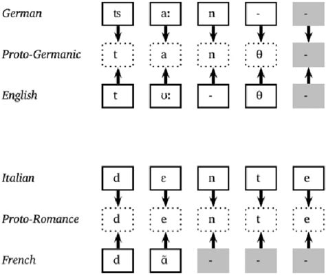 Reconstruction Of Language Proto Forms Download Scientific Diagram