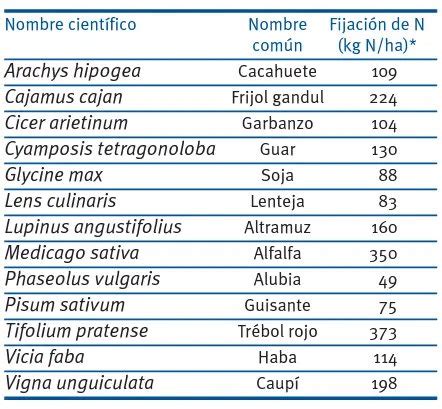 Infoagronomo Net On Twitter Cu Nto De Nitr Geno Fijan Las