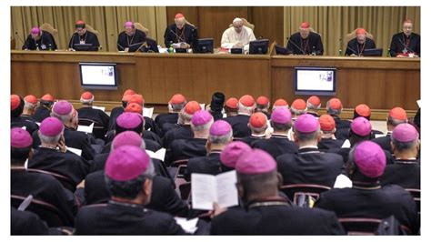 Nueva Medida Del Papa Las Mujeres Podrán Votar En El Sínodo De Obispos