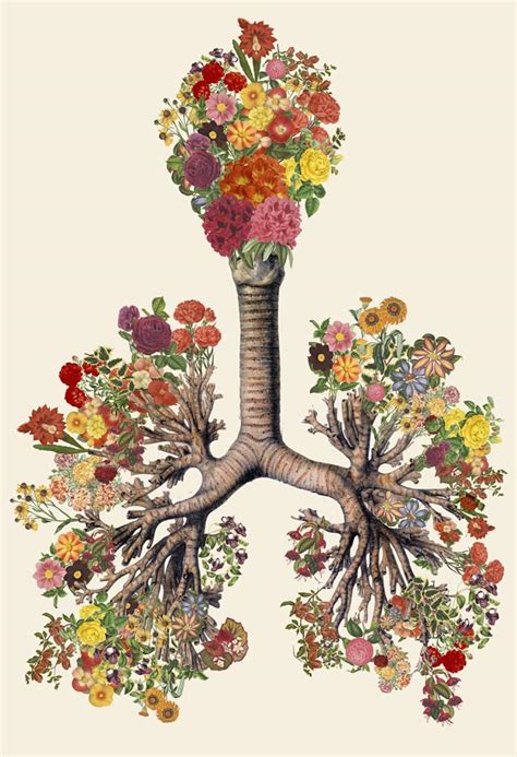Surreal Anatomical Collage Art Made From Vintage Scientific Illustrations