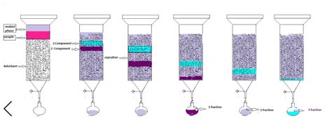 Column Chromatography Principle And Application