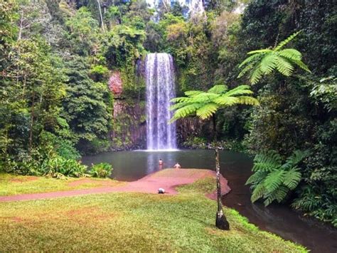 Best Free Things To Do Atherton Tablelands Budget Travel Talk