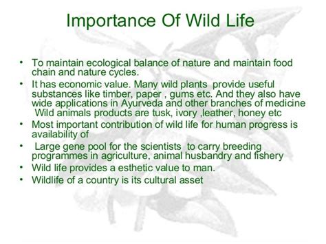 ⭐ Short Essay On Wildlife Conservation Essay On Wildlife Conservation