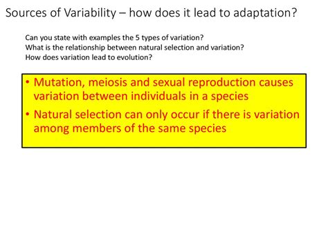 Evolution 3 Genetic Variation Online Presentation