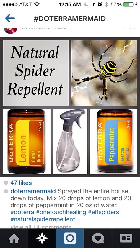 Spider Repellent Natural Spider Repellant Spiders Repellent Mentha