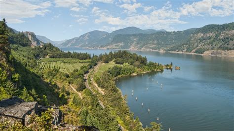Your 2023 Guide To Oregon Wine Region